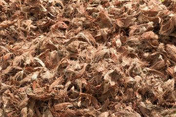 Pile of discarded coconut husks in Thailand.