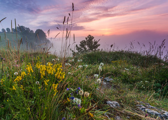 Rocks with herbs over Vistula river valley covered with the mornings mists near Krakow, Poland