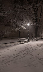 Krakow, Poland, alley in the Planty park seen in the night during snow.