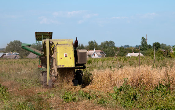 combine harvester working on a oat field