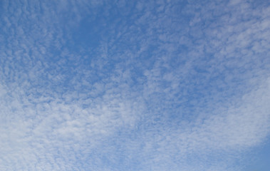 blue sky and white cloud