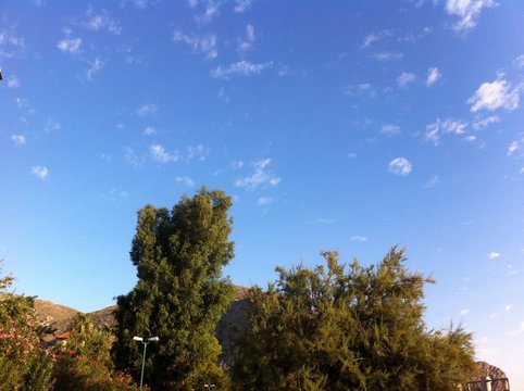 cieli nuvole e alberi