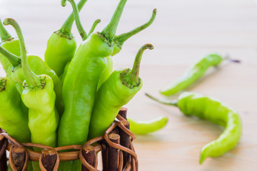 Green pepper in a small pot.
