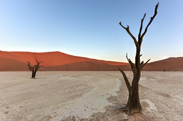 Dead Vlei, Namibia