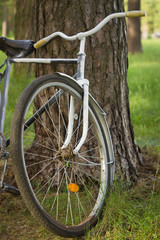 Fototapeta na wymiar Vintage bicycle in the forest