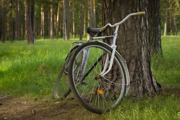 Fototapeta na wymiar Vintage bicycle in the forest
