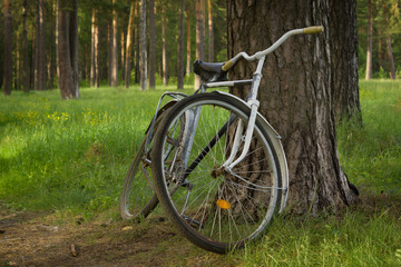 Fototapeta premium Vintage bicycle in the forest