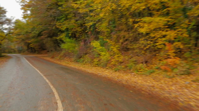 Passenger Car Moving In Autumn Forest Along Winding Road