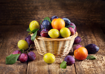 fresh plums © Nitr