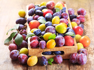 fresh plums