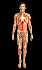 3d rendered illustration of