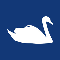 White swan on a blue background