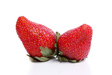 Two Strawberry fruit Standing and photographed against white background