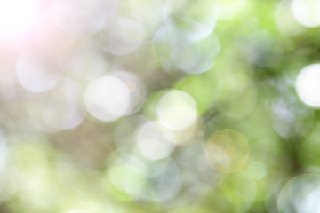 Obraz premium Bokeh,blurred bokeh.