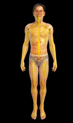 3d rendered illustration of 