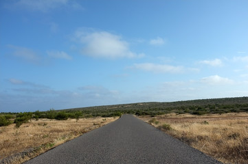 Road in the field