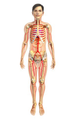 3d rendered illustration of 