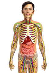 3d rendered illustration of 