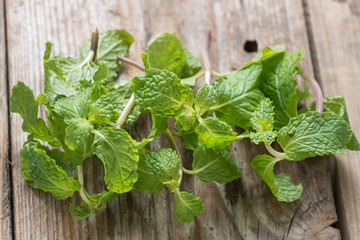 Fototapeta premium Fresh mint on wooden background.