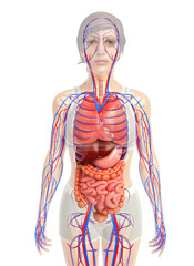 3d rendered illustration of 