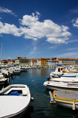 Obraz premium Island Cres in Croatia