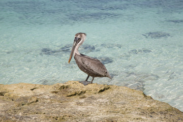 Paesaggi caraibici della polinesia con isole e mare corsllino