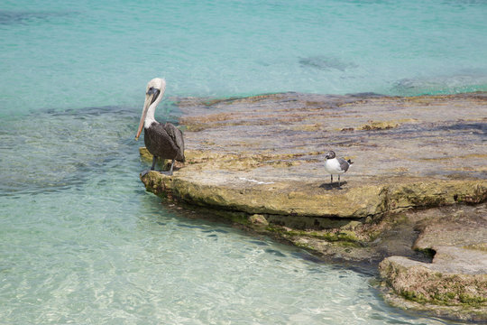 Paesaggi dei Caraibi