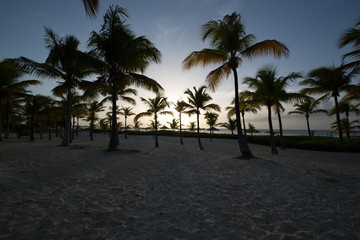 Fototapeta na wymiar Paesaggi dei Caraibi con palme