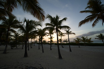 Fototapeta na wymiar Paesaggi dei Caraibi