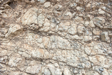 Texture from old coquina (limestone) brown wall
