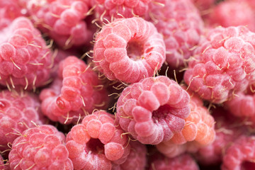 raspberry composition