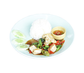 Fried squid  on white background