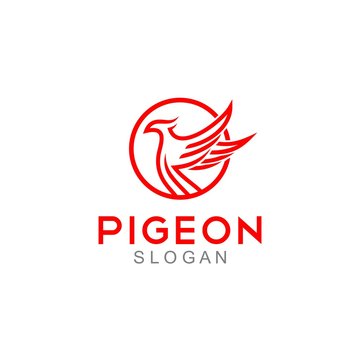 Pigeon Logo Template