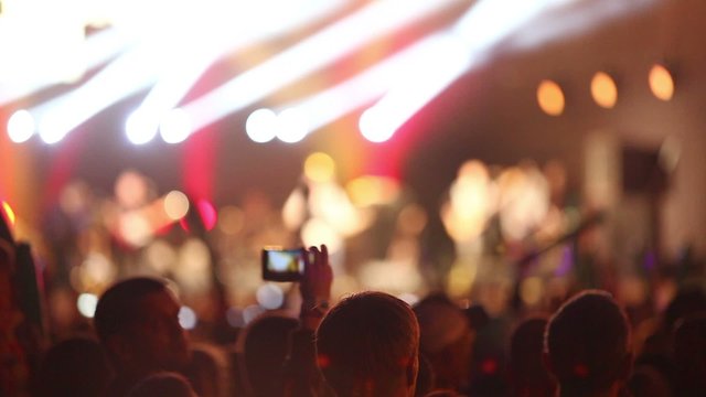 People in a rock and roll concert