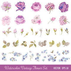 Vintage Flower Set - Watercolor Style - in vector