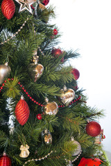 Naklejka na ściany i meble Christmas tree