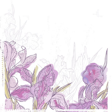 Hand drawn retro card with watercolor iris  flowers