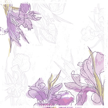Hand drawn vintage  card with tender watercolor iris  flowers