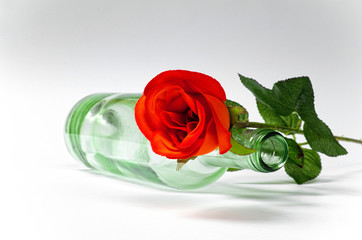 Empty blanc wine bottle witk red rose