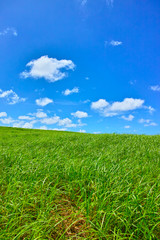 草原と青空