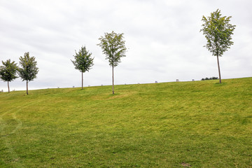 playing golf on a golf course in cloudy weather