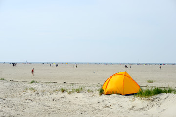 Strandmuschel in St. Peter-Ording 