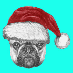 Portrait of French Bulldog with Santa Hat. Hand drawn illustration.