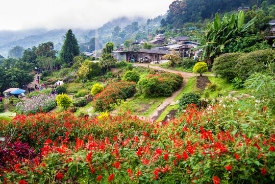 doi pui