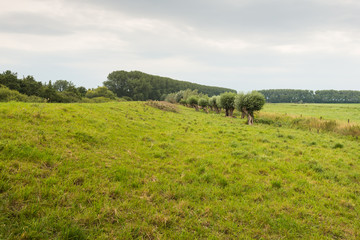 Fototapeta na wymiar Picturesque rural landscape with a dike