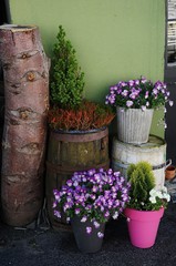 schöne Blumendekoration