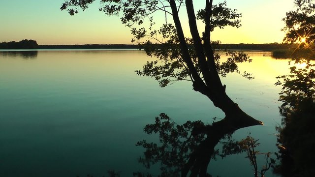 Bad im Sonnenuntergang am See, Baum spiegelt sich die der ruhigen Oberfl&auml;che
