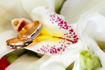 Fototapeta na wymiar Gold wedding rings on a bouquet of flowers for the bride
