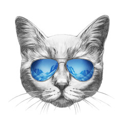 Portrait of Cat with mirror sunglasses. Hand drawn illustration.