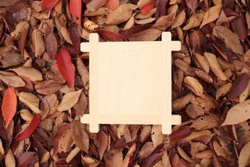 晩秋のメッセージ